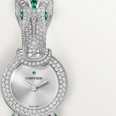 Cartier Indomptables de Cartier Cartier Indomptables de Cartier