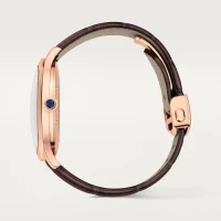 Cartier Drive de Cartier