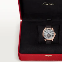 Cartier Drive de Cartier