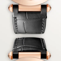 Cartier Pasha de Cartier watch Cartier Pasha de Cartier watch