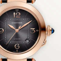 Cartier Pasha de Cartier watch Cartier Pasha de Cartier watch