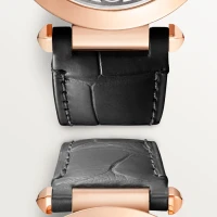 Cartier Pasha de Cartier watch Cartier Pasha de Cartier watch