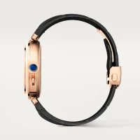 Cartier Pasha de Cartier watch Cartier Pasha de Cartier watch