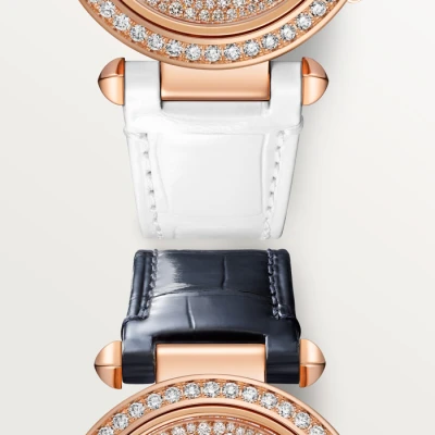 Cartier Pasha de Cartier watch Cartier Pasha de Cartier watch