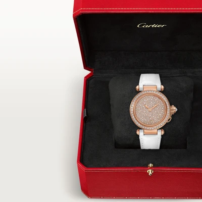Cartier Pasha de Cartier watch Cartier Pasha de Cartier watch