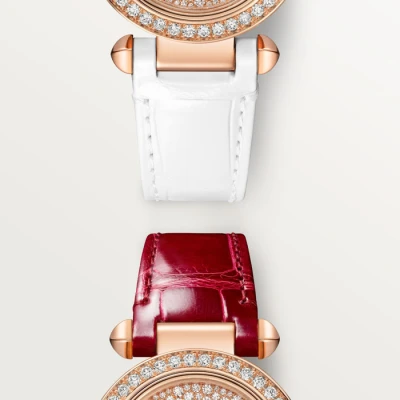 Cartier Pasha de Cartier watch Cartier Pasha de Cartier watch
