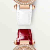 Cartier Pasha de Cartier watch Cartier Pasha de Cartier watch