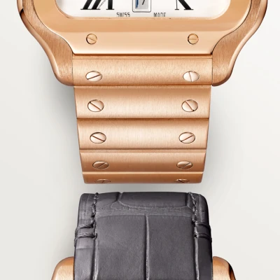 Cartier Santos de Cartier Cartier Santos de Cartier