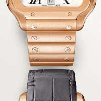 Cartier Santos de Cartier Cartier Santos de Cartier
