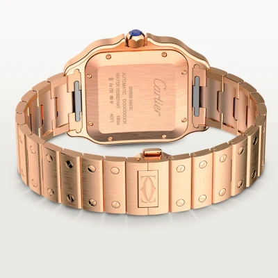 Cartier Santos de Cartier Cartier Santos de Cartier