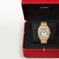 Cartier Santos de Cartier Cartier Santos de Cartier