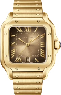 Cartier Santos de Cartier Cartier Santos de Cartier