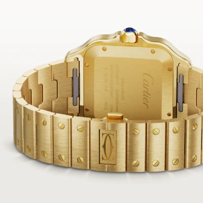Cartier Santos de Cartier Cartier Santos de Cartier