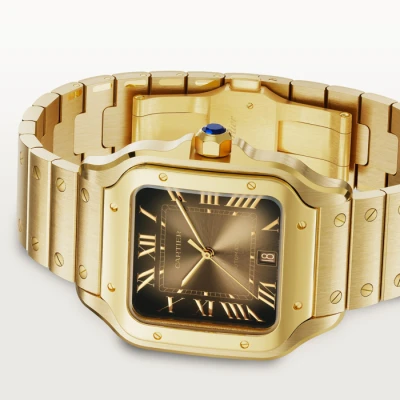 Cartier Santos de Cartier Cartier Santos de Cartier
