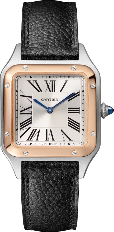 Cartier Santos de Cartier Cartier Santos de Cartier
