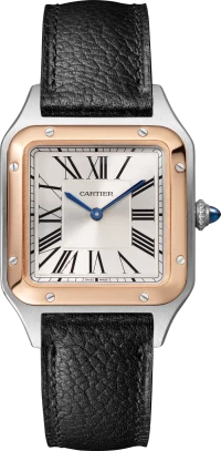 Cartier Santos de Cartier Cartier Santos de Cartier