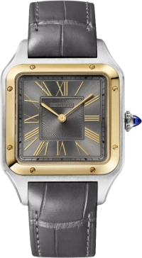 Cartier Santos de Cartier Cartier Santos de Cartier