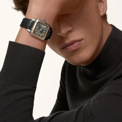 Cartier Santos de Cartier Cartier Santos de Cartier