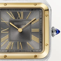 Cartier Santos de Cartier Cartier Santos de Cartier