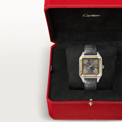 Cartier Santos de Cartier Cartier Santos de Cartier
