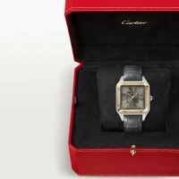 Cartier Santos de Cartier Cartier Santos de Cartier
