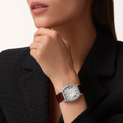 Cartier Tortue
