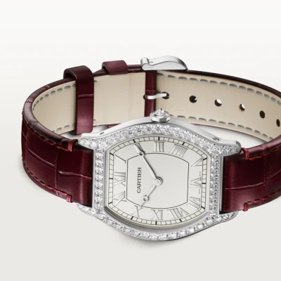 Cartier Tortue