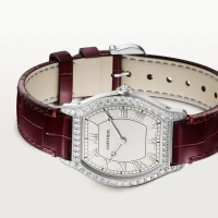 Cartier Tortue