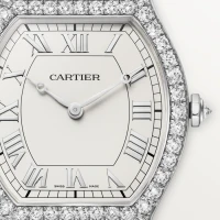 Cartier Tortue