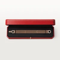 Cartier Agrafe