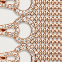 Cartier Agrafe
