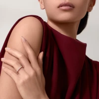 Cartier Broderie de Cartier