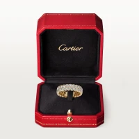 Cartier Broderie de Cartier