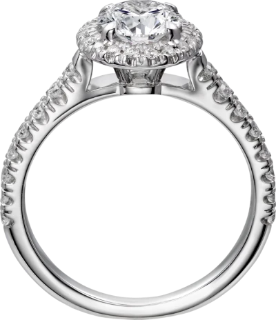 Cartier Cartier Destinée