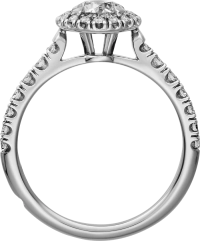 Cartier Cartier Destinée