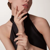 Cartier Cartier Destinée