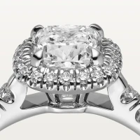 Cartier Cartier Destinée