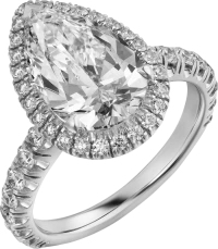Cartier Cartier Destinée