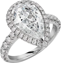 Cartier Cartier Destinée