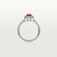 Cartier Cartier Destinée