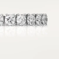 Cartier Cartier Destinée