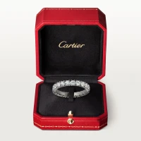 Cartier Cartier Destinée