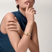 Cartier Clash de Cartier