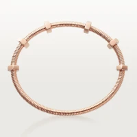 Cartier Ecrou de Cartier