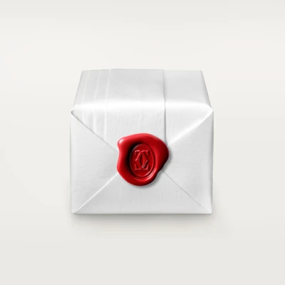 Cartier Ecrou de Cartier