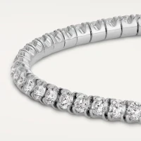 Cartier Essential Lines Cartier Essential Lines