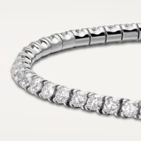 Cartier Essential Lines Cartier Essential Lines