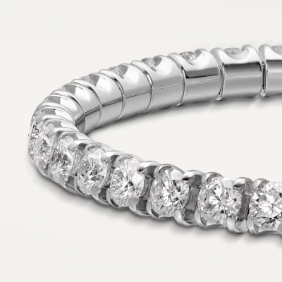 Cartier Essential Lines Cartier Essential Lines