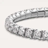 Cartier Essential Lines Cartier Essential Lines