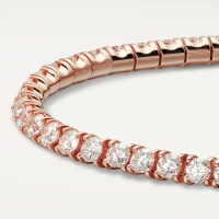 Cartier Essential Lines Cartier Essential Lines